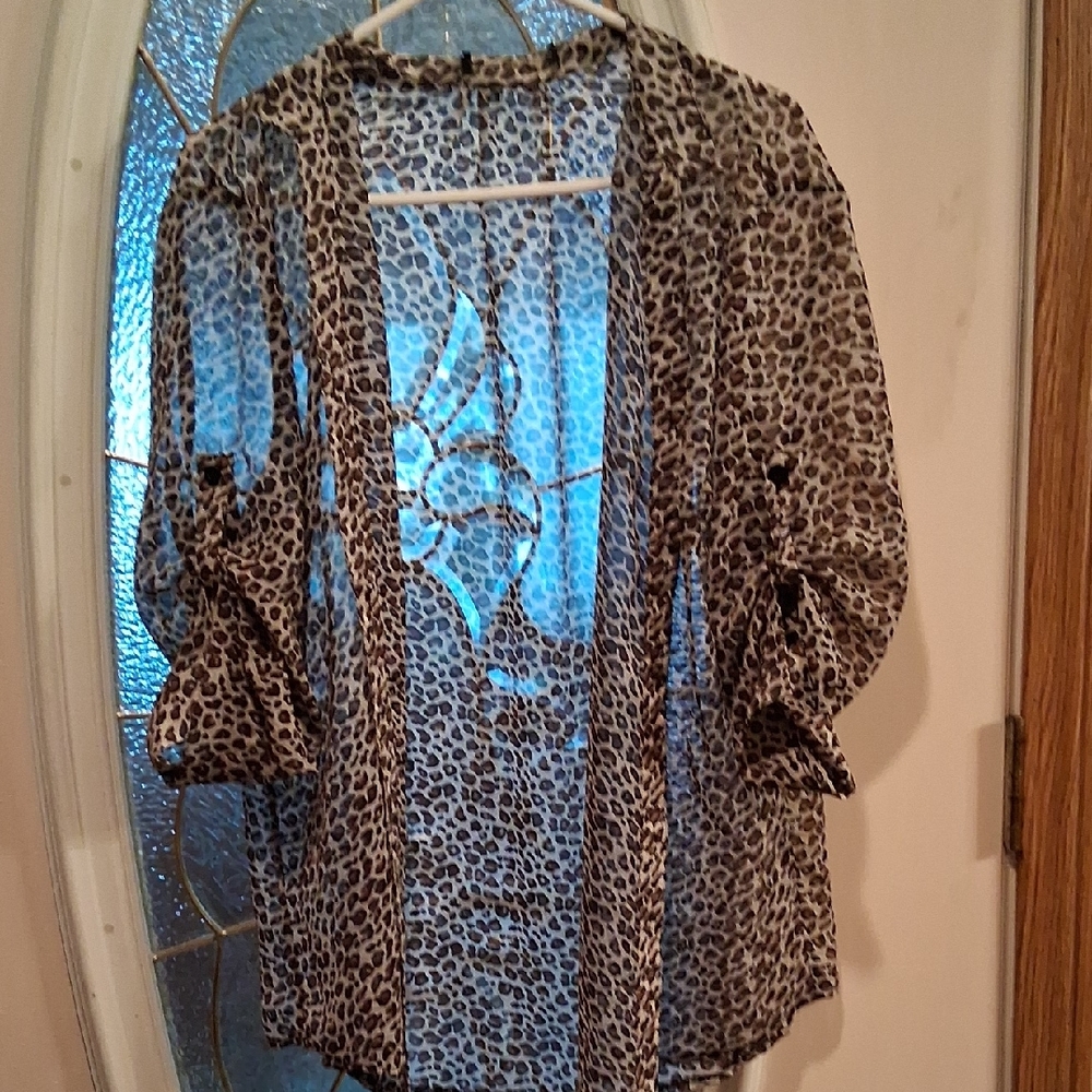 Leopard Print Sheer Blouse